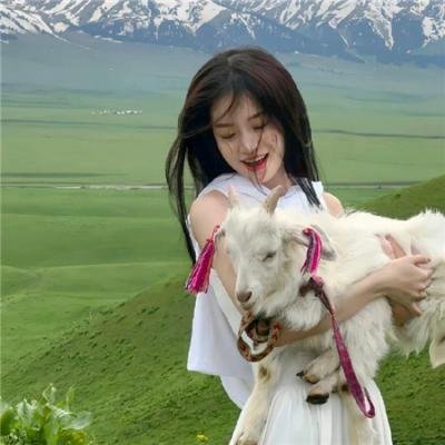 寻找幸福的赫克托