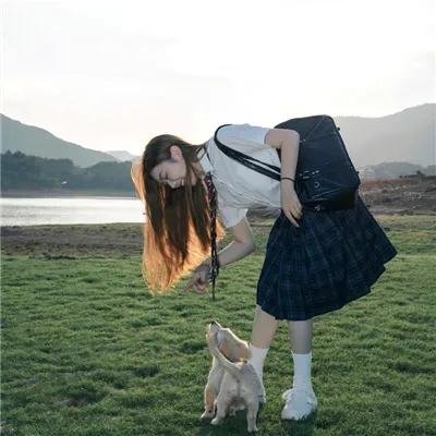驴嘎上电视